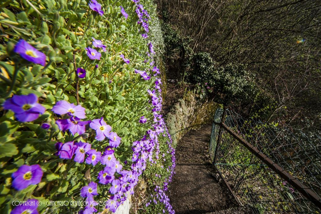 B&B Il Balcone Sul Lago Brunate Exterior foto